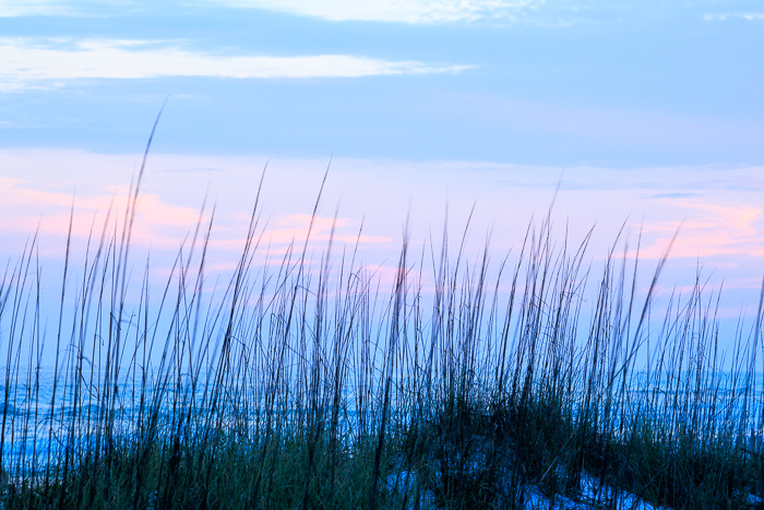 Beach;Biophilic;Calm;Coast;Coastline;Concepts;Dunes;Healing;Health care;Healthcare;Horizon;Minimalism;Nature;Ocean;Oneness;Pastel;Pastoral;Pink;Sand;Sea;Sea Oats;Seascape;Sundown;Sunset;Twilight;Waterscape;Waves;blue;breeze;calming;coastal vegetation;dawnlight;dusk;escape;evening;grass;landscape;minimal;native grass;nightfall;outdoors;peaceful;relaxation;relaxing;restful;restorative;romantic;sea;seaside;serene;shore;shoreline;silhouette;sky;soothing;summer;sundown;sunset;sunset sky;tranquil;travel;twilight;vacation;zen